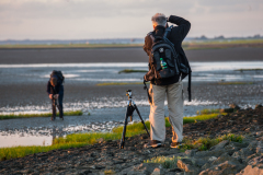 Fotografieren im Watt